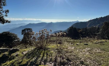 Rudranath Trek with Kalpeshwar Package By Mountain Hikers