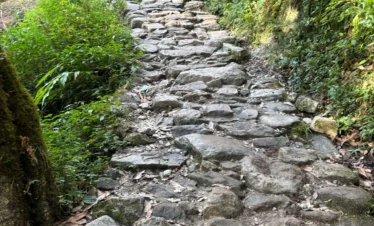 Rudranath Trek with Kalpeshwar Package By Mountain Hikers