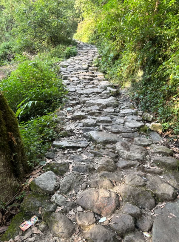 Rudranath Trek with Kalpeshwar Package By Mountain Hikers