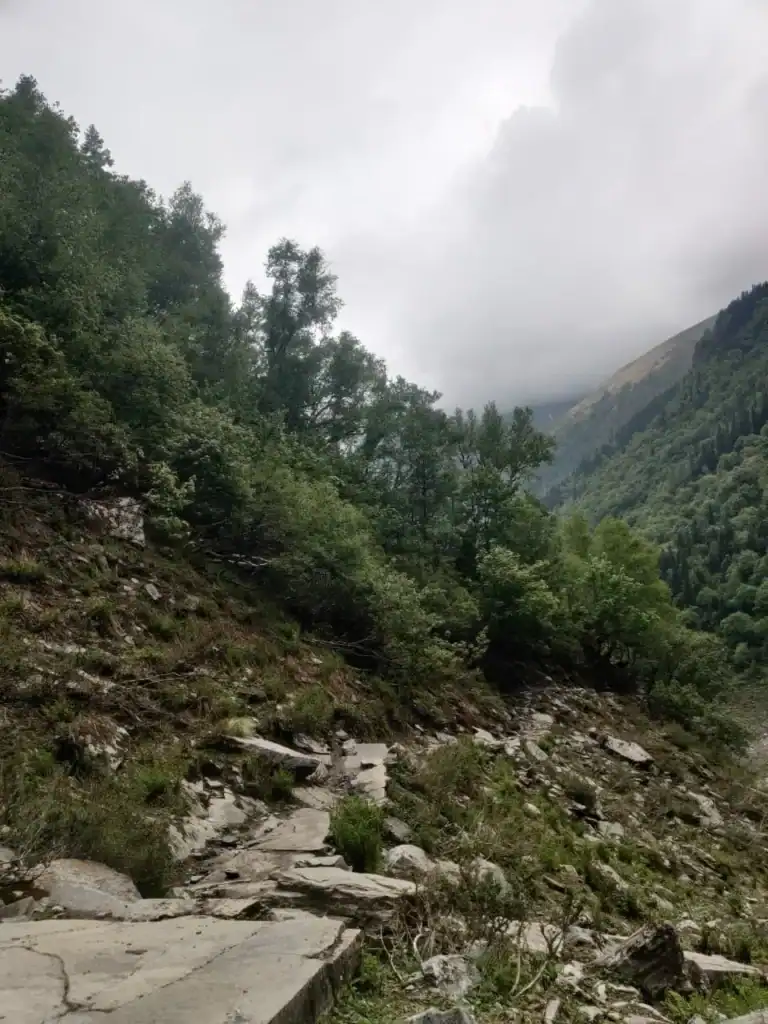 Scenic mountain landscape with lush green trees and cloudy sky during Rupin Pass Trek.