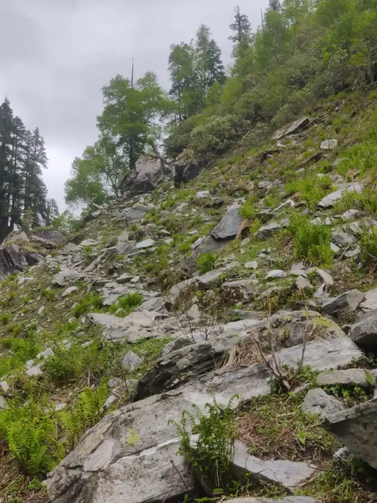 Steep rocky trail on a mountain slope with green trees and cloudy sky.