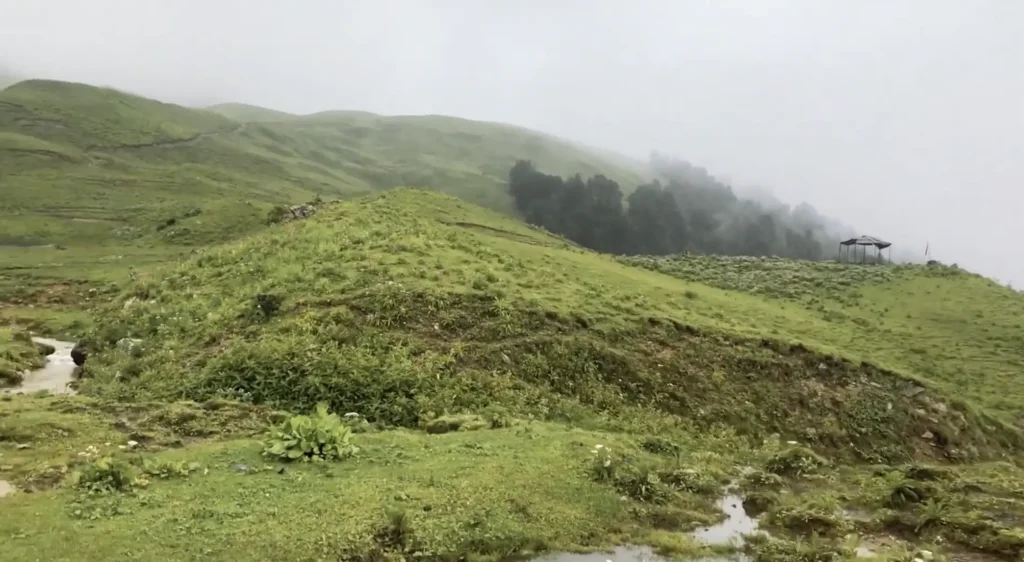 Greenery during Rainy Season in Dayara Bugyal